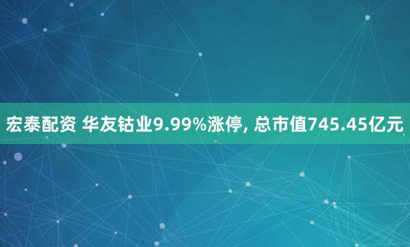 宏泰配资 华友钴业9.99%涨停, 总市值745.45亿元